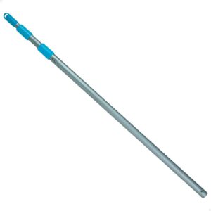 Intex Telescoping Shaft Plateado 239 cm