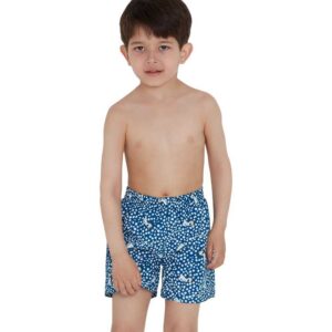 Speedo Disney Frozen 11´´ Swimming Shorts Azul 5-6 Years Niño